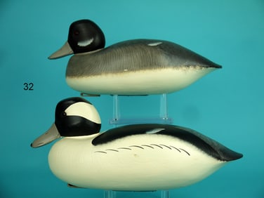 BUFFLEHEAD PAIR, PT. PLEASANT
