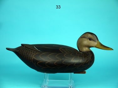 BLACK DUCK, F.C. BROWN