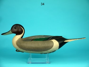 PINTAIL DRAKE, F.C. BROWN, JR.