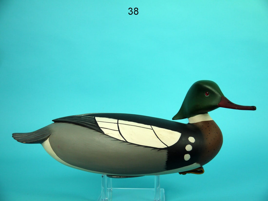 RED-BREASTED MERGANSER DRAKE, W. ETHINGTON (1 of 4)