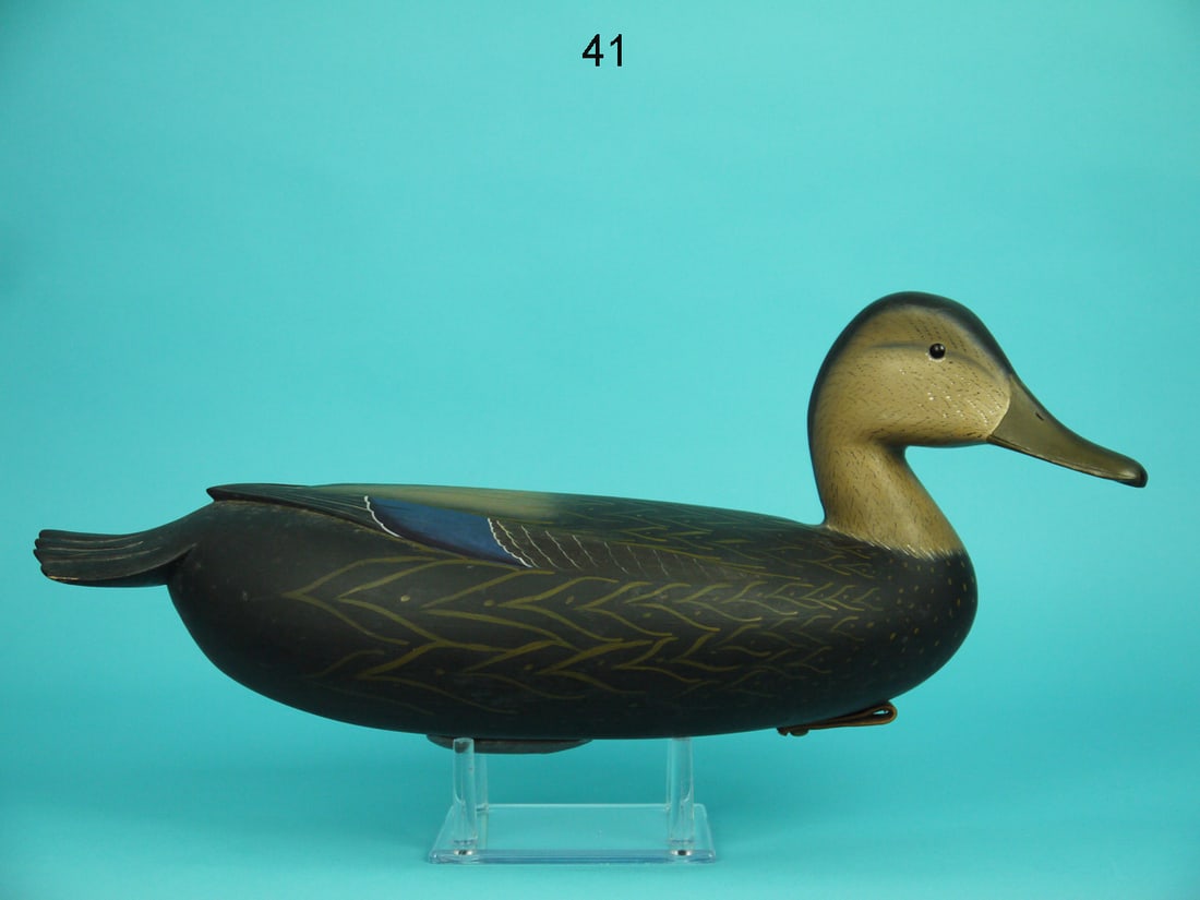 BLACK DUCK, W. ETHINGTON (1 of 4)