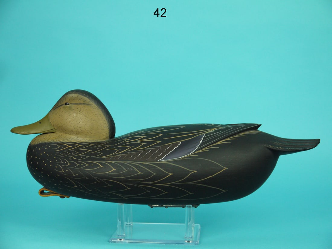 SLEEPING BLACK DUCK, W. ETHINGTON (1 of 4)