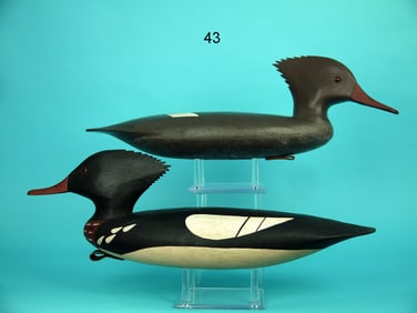 RED-BREASTED MERGANSER PAIR, J. HAMILTON