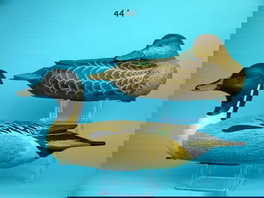 PINTAIL PAIR, F. JENNINGS