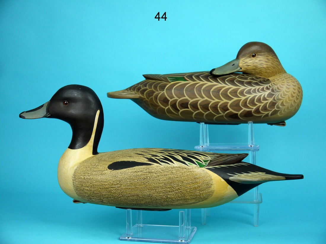 PINTAIL PAIR, F. JENNINGS (1 of 4)