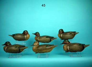 SIX GREEN WING TEAL, L. MAIORANO