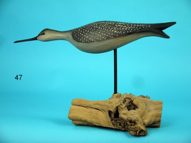 RUNNING YELLOWLEGS, L. MAIORANO