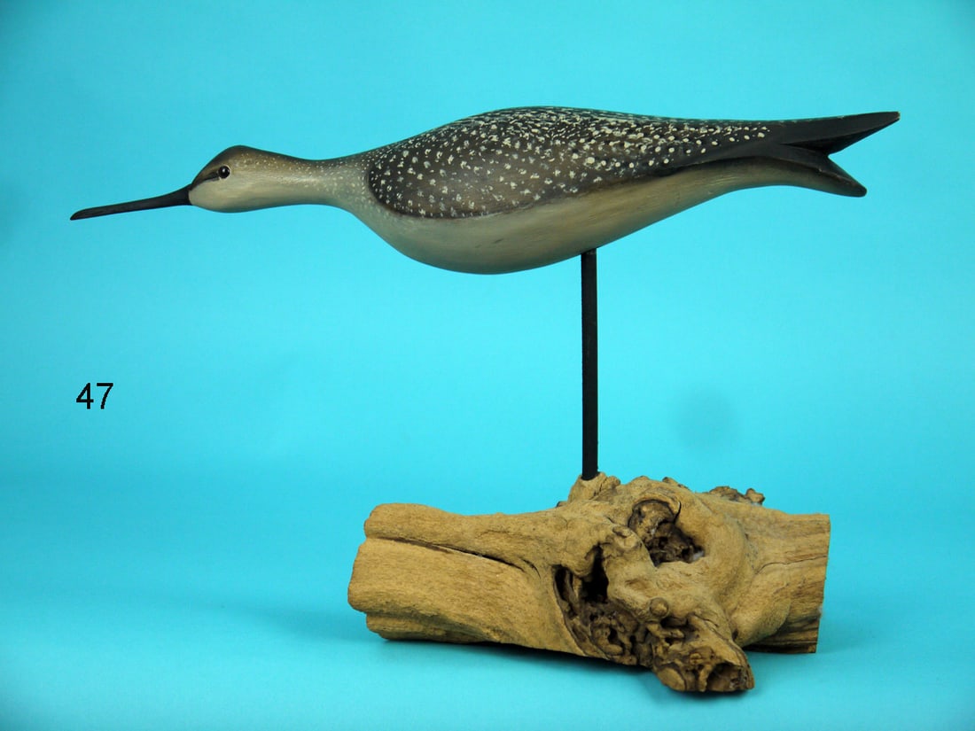 RUNNING YELLOWLEGS, L. MAIORANO (1 of 4)