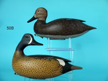 BLUE WING TEAL PAIR, D. MORRONE