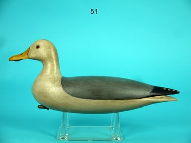 MINIATURE GRAY-BACK GULL, B. SEABROOK