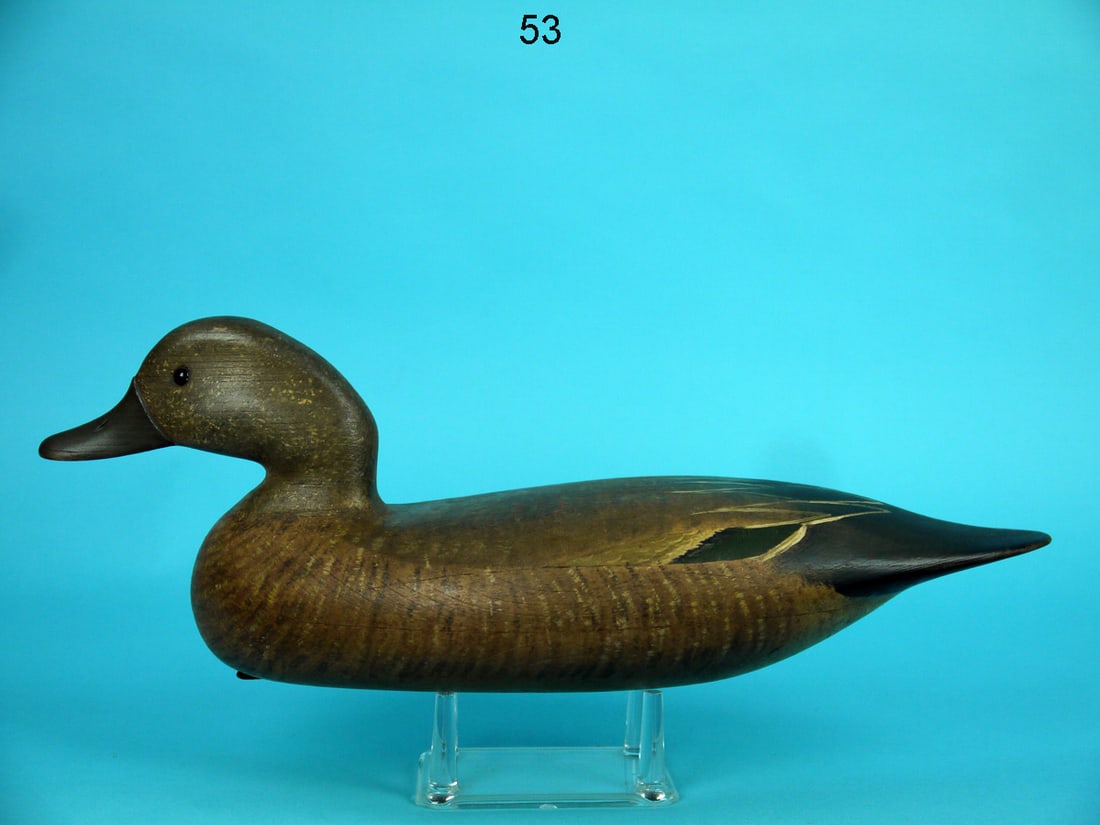 GREEN WING TEAL HEN, B. SEABROOK (1 of 4)
