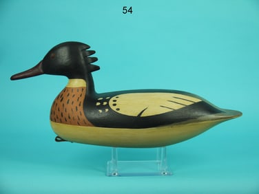 RED-BREASTED MERGANSER DRAKE, B. SEABROOK