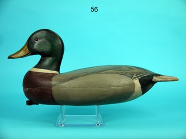 MALLARD DRAKE, B. SEABROOK