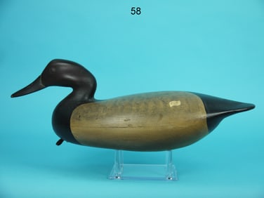 CANVASBACK DRAKE, B. SEABROOK