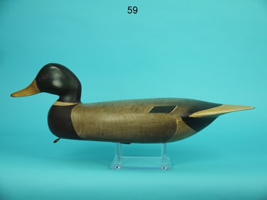 MALLARD DRAKE, B. SEABROOK