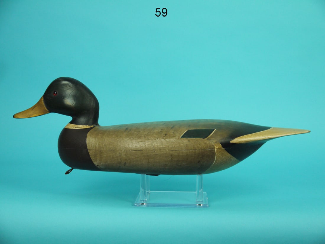 MALLARD DRAKE, B. SEABROOK (1 of 4)