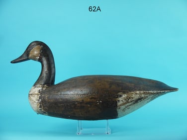 CANADA GOOSE, E. BIRDSALL