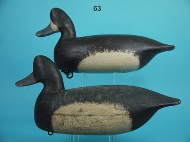 BLUEBILL PAIR, R. CORLISS