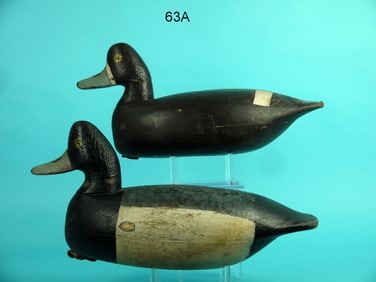 BROADBILL PAIR. R. CORLISS