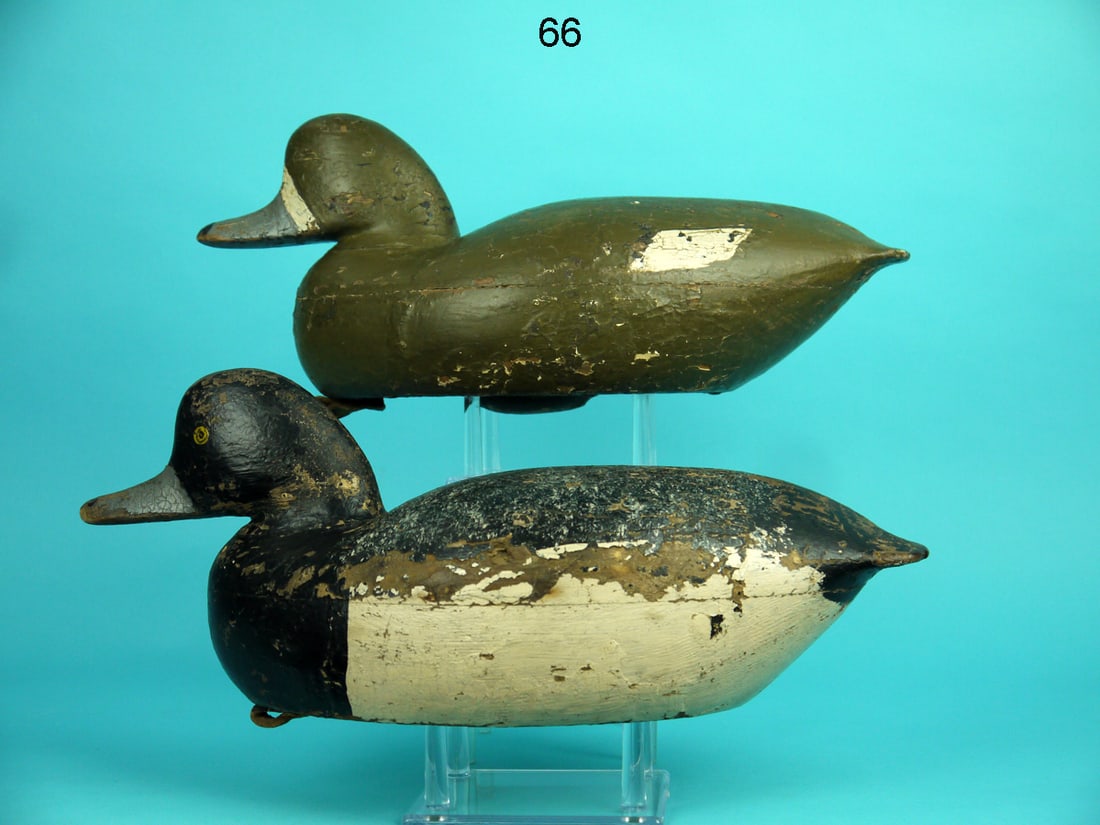 BLUEBILL PAIR, T. GASKILL (1 of 4)