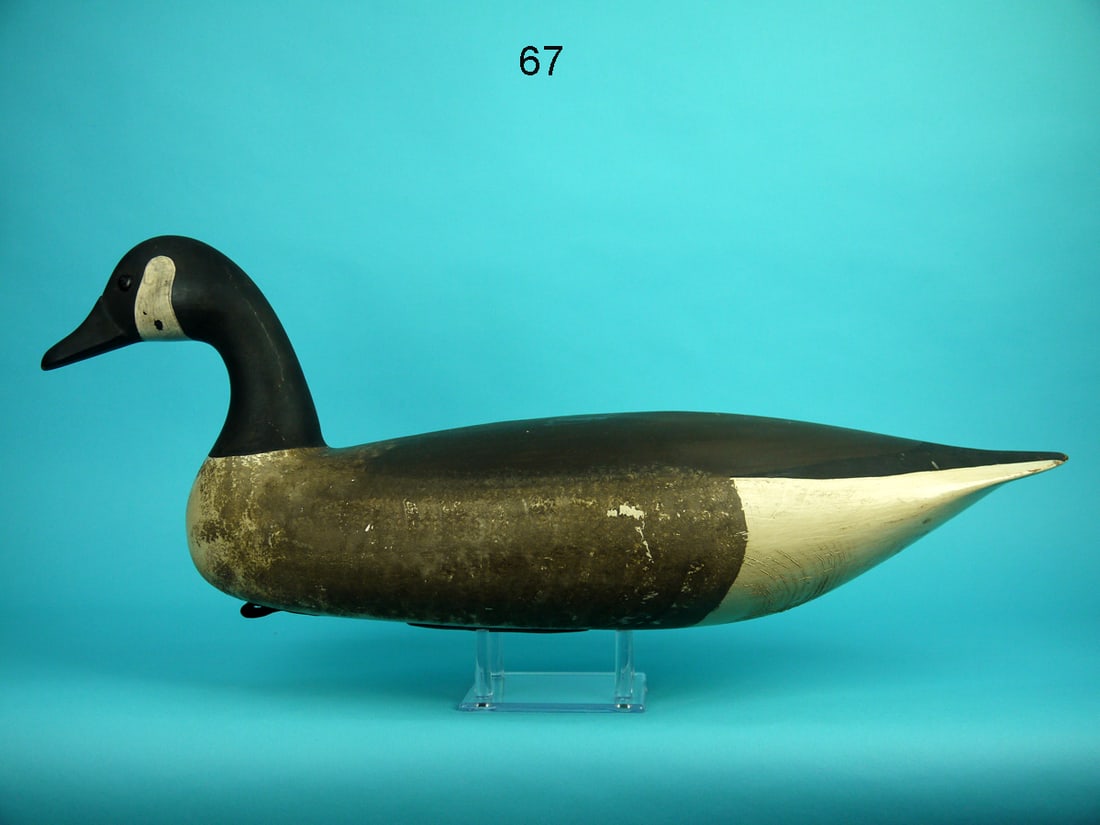 CANADA GOOSE, C. SPRAGUE (1 of 4)