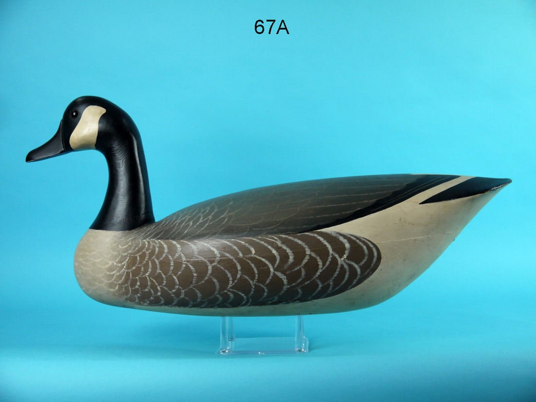 CANADA GOOSE, NEW JERSEY (1 of 4)