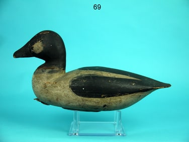 GOLDENEYE DRAKE, H. KILPATRICK