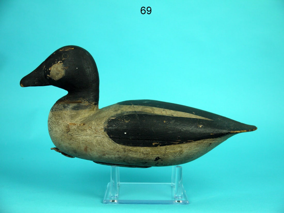 GOLDENEYE DRAKE, H. KILPATRICK (1 of 4)