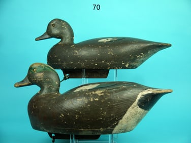 WIGEON PAIR, E. ORTLEY