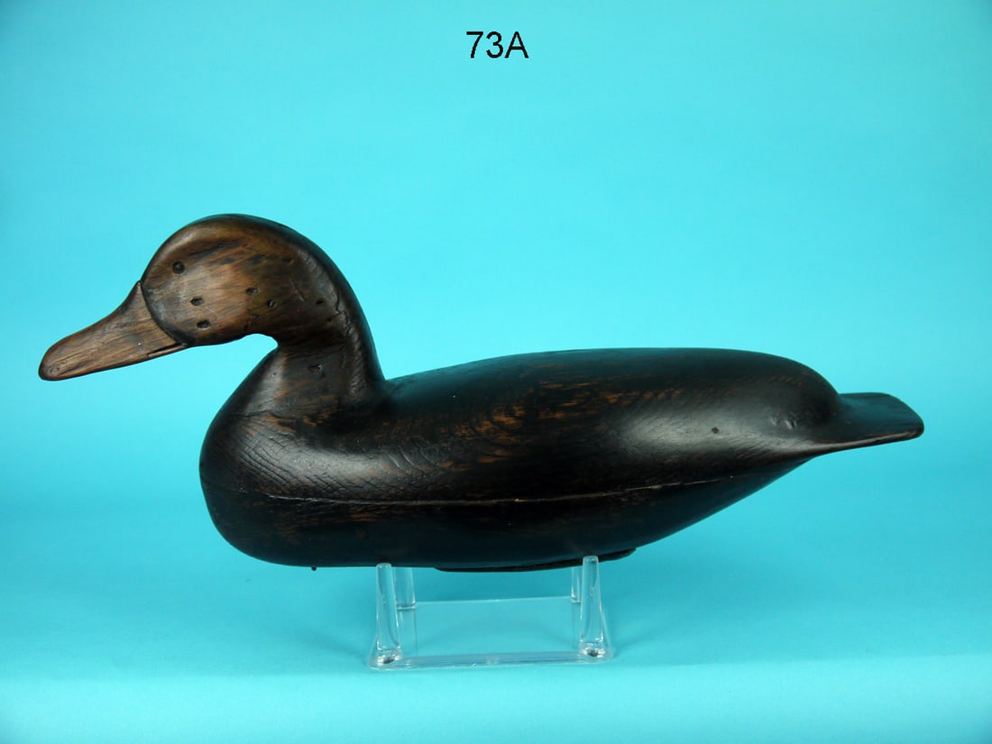 BLACK DUCK, C. PARKER ATTRIBUTION (1 of 4)