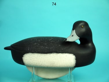 BLUEBILL DRAKE, W. SCHNOOR