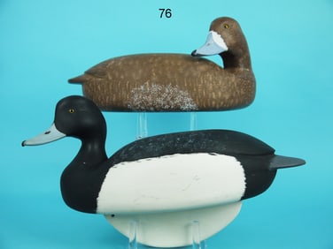 BLUEBILL PAIR, W. SCHNOOR