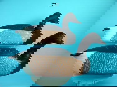 FOUR BRANT, W. SCHNOOR