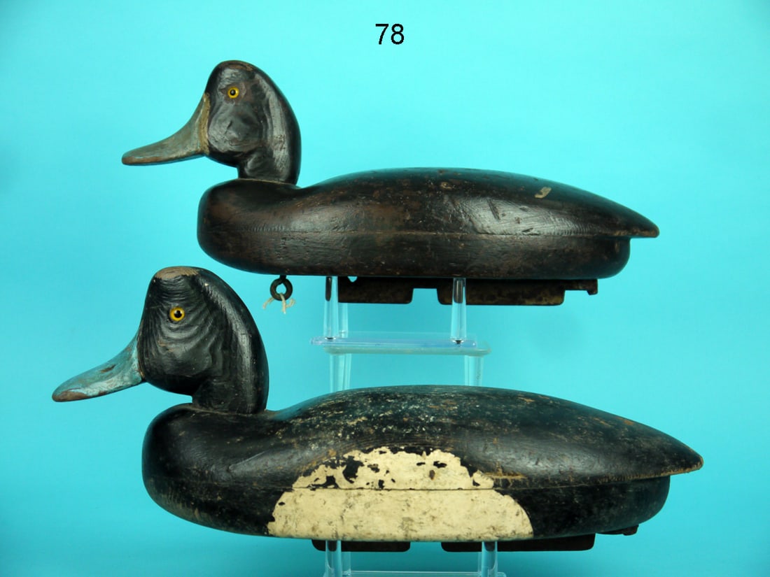 BLUEBILL PAIR, W. SCHNOOR (1 of 4)