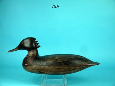 RE-BREASTED MERGANSER DRAKE, H.V. SHOURDS