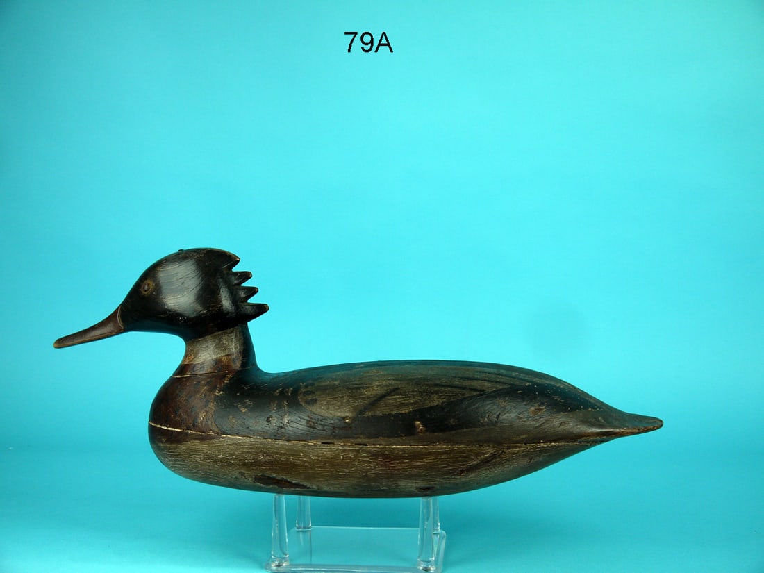 RE-BREASTED MERGANSER DRAKE, H.V. SHOURDS (1 of 4)