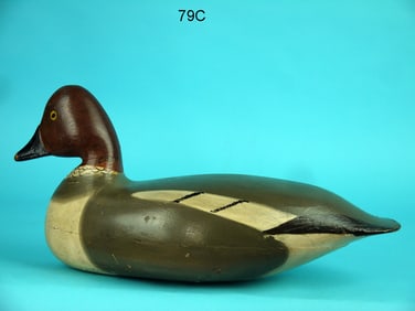 GOLDENEYE HEN, H.V. SHOURDS