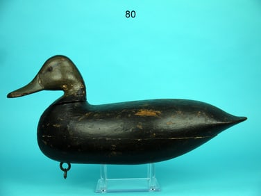 BLACK DUCK, H.V. SHOURDS