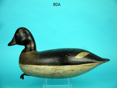 GOLDENEYE HEN, H.M. SHOURDS