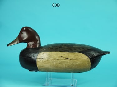 REDHEAD DRAKE, C. TRADER