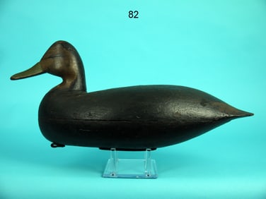BLACK DUCK, J. UPDIKE
