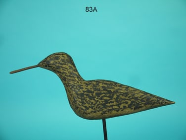 EARLY SHOREBIRD, NEW JERSEY