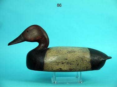 CANVASBACK DRAKE, C. BLACK