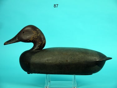CANVASBACK DRAKE, C. BLACK