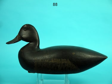 BROADBILL HEN, L. BOLDIZAR