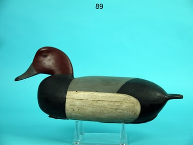 REDHEAD DRAKE, J. ENGLISH