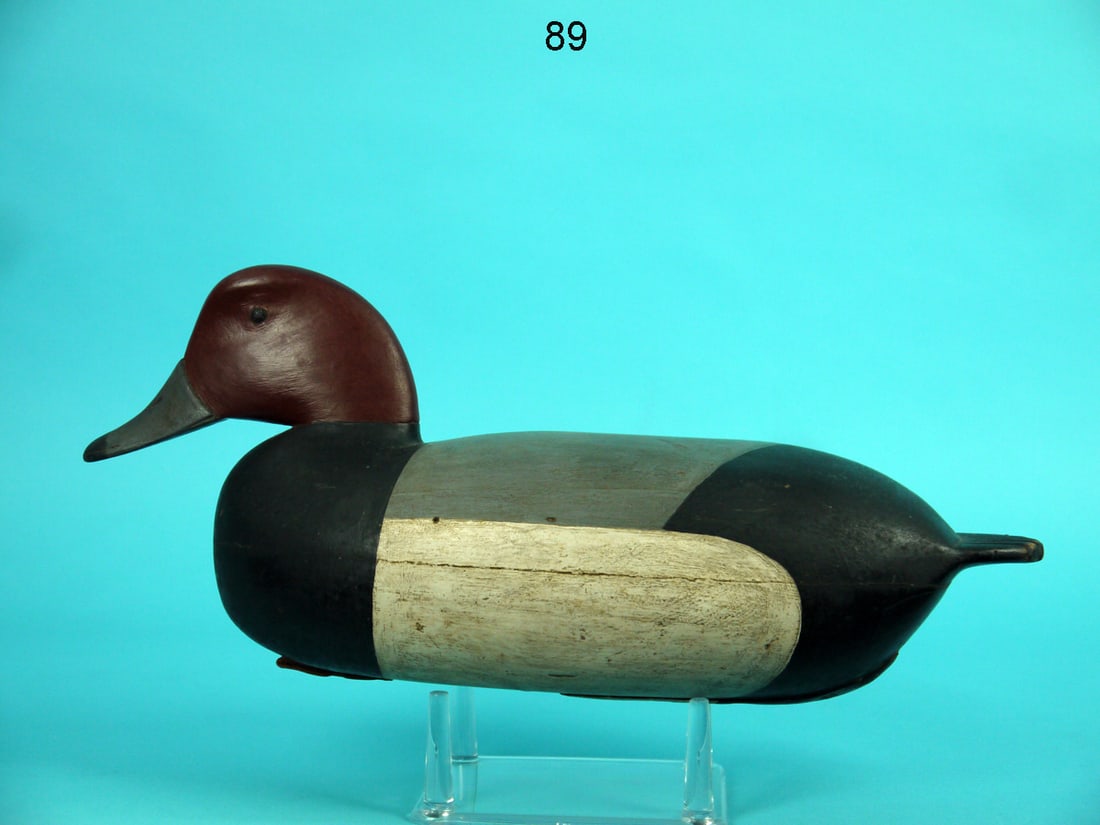 REDHEAD DRAKE, J. ENGLISH (1 of 4)