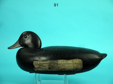 BLUEBILL DRAKE, ENGLISH FAMILY