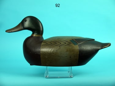 MALLARD DRAKE, H. FENNIMORE
