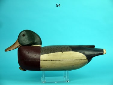 MALLARD DRAKE, DELAWARE RIVER